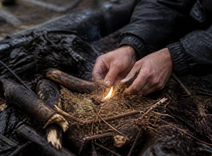 How to start a fire with wet wood in survival situations